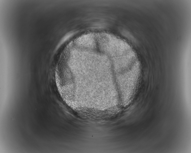 X0000083571208200703091630