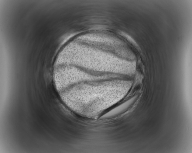 X0000083571212200703091630