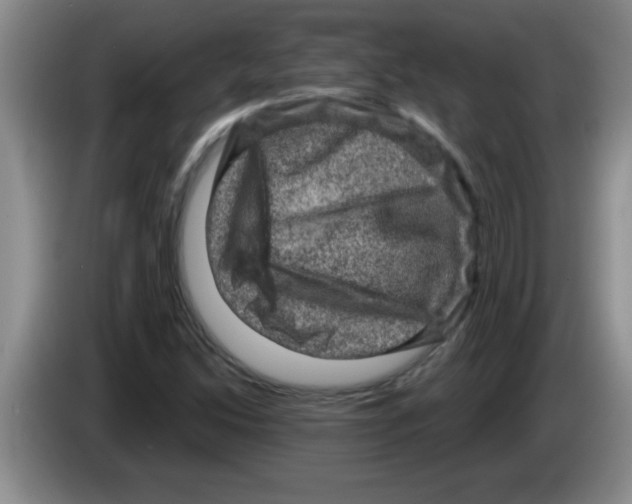 X0000083571214200703091630
