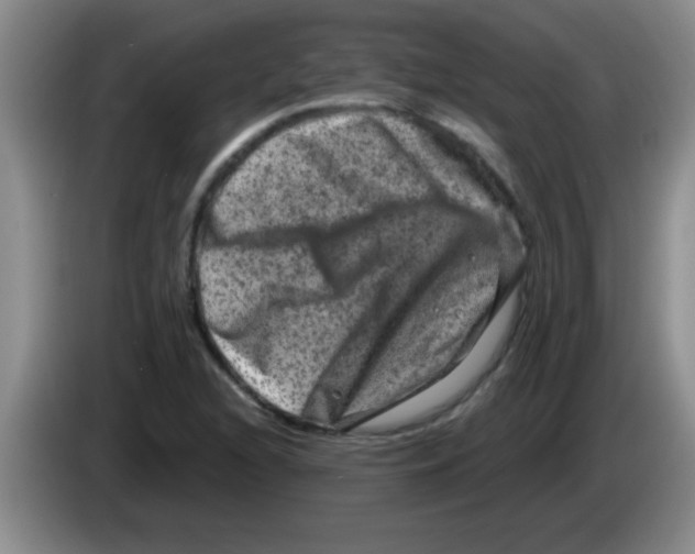 X0000083571216200703091630