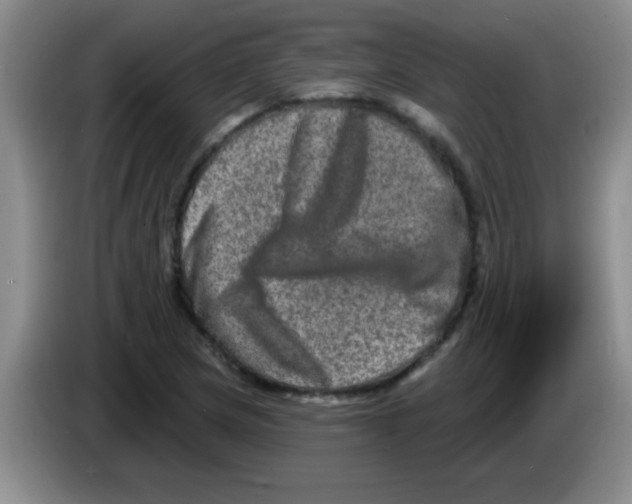X0000083571217200703091630