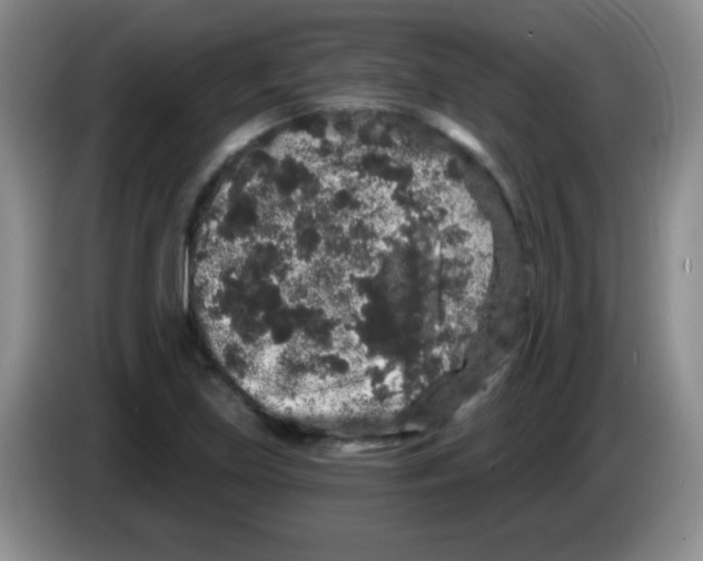 X0000083571219200703091630