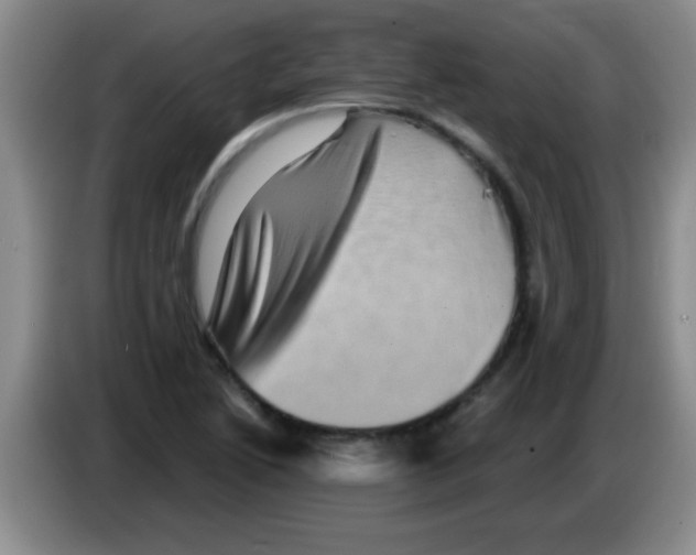 X0000083571222200703091630