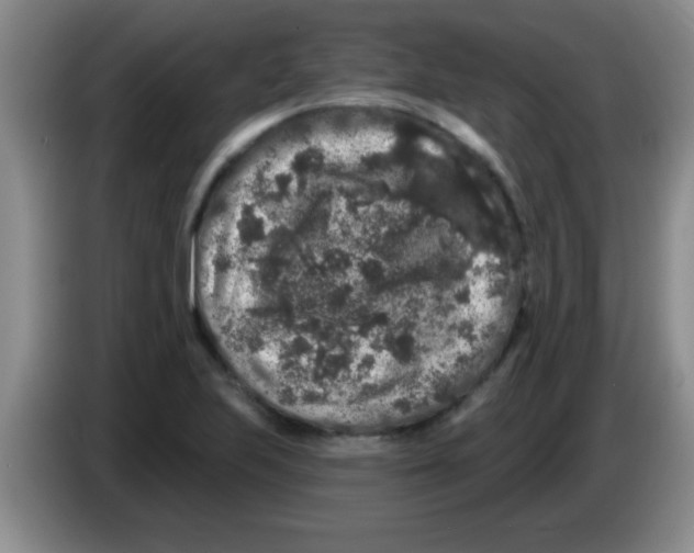 X0000083571223200703091630
