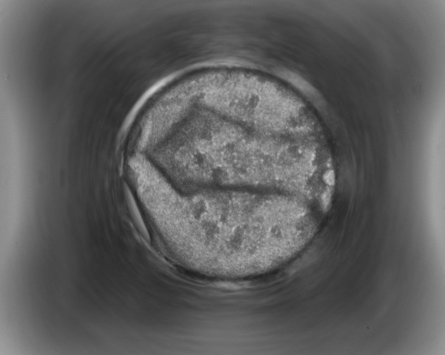 X0000083571224200703091630