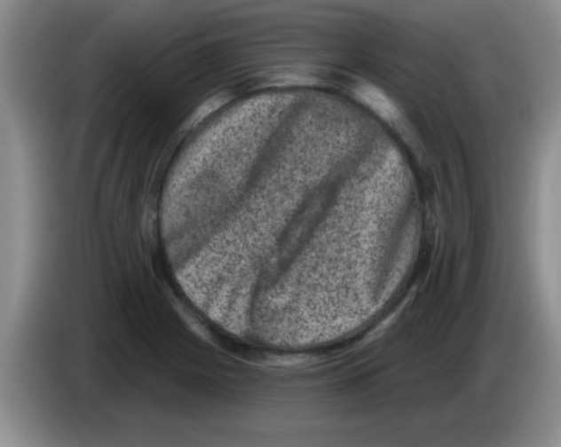 X0000083571225200703091630