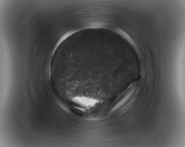 X0000083571226200703091630