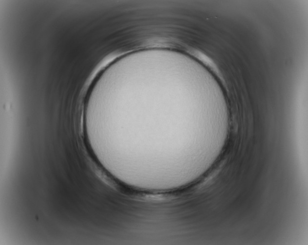X0000083571227200703091630