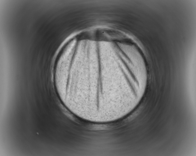 X0000083571232200703091631
