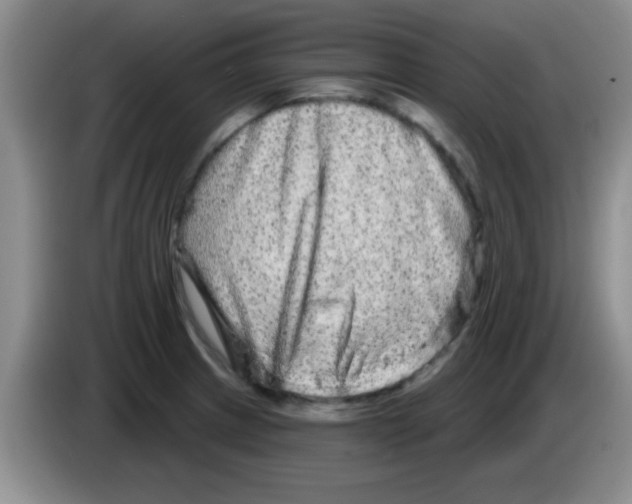 X0000083571233200703091631