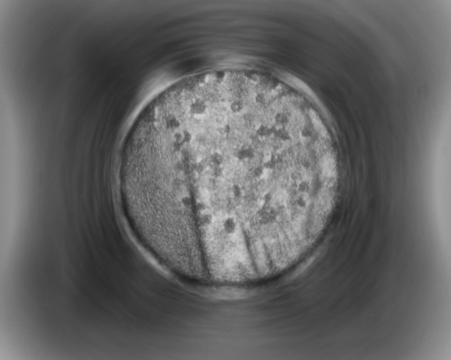 X0000083571235200703091631