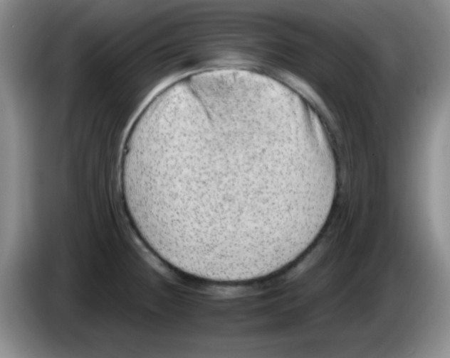 X0000083571236200703091631