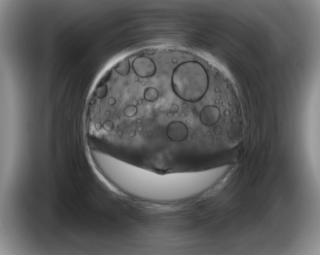 X0000083571239200703091631