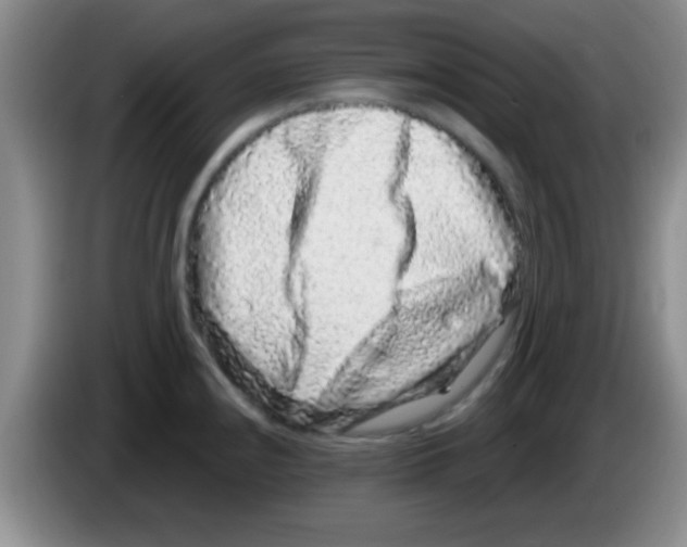 X0000083571240200703091631