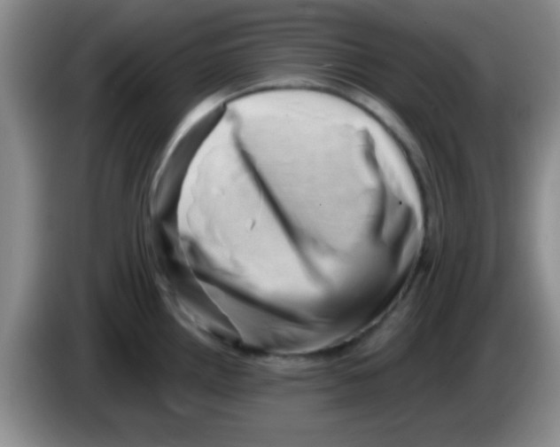 X0000083571242200703091631