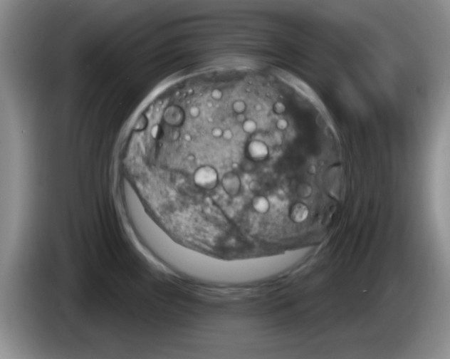 X0000083571243200703091631
