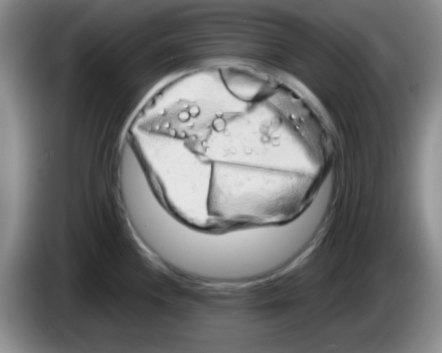 X0000083571244200703091631