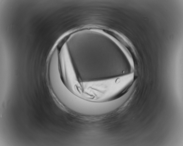 X0000083571246200703091631