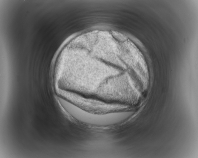 X0000083571248200703091631