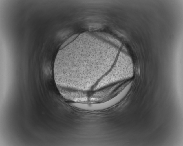 X0000083571252200703091630