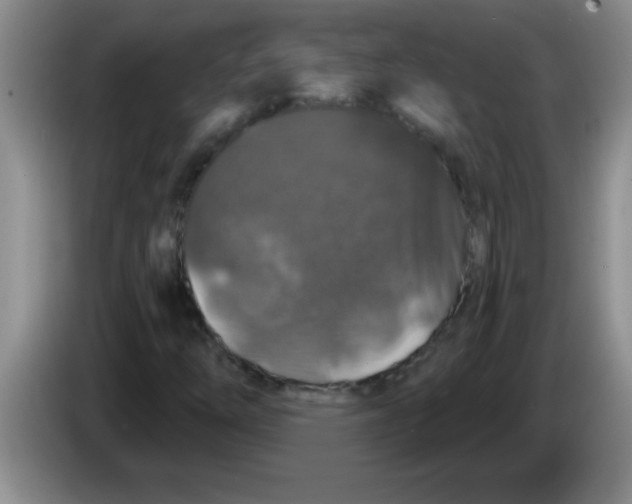 X0000083571254200703091630