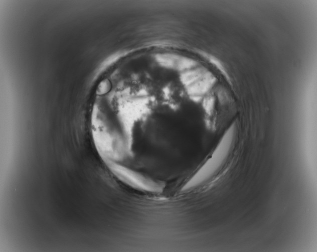 X0000083571263200703091630