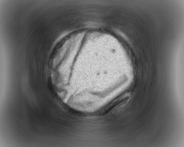X0000083571267200703091630