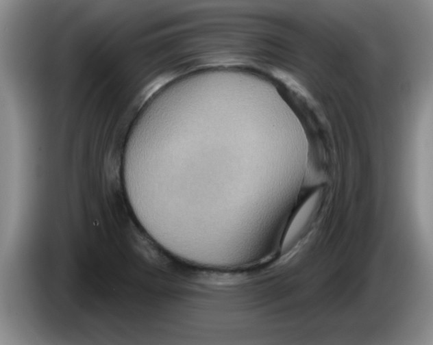 X0000083571273200703091630