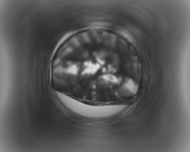 X0000083571275200703091630