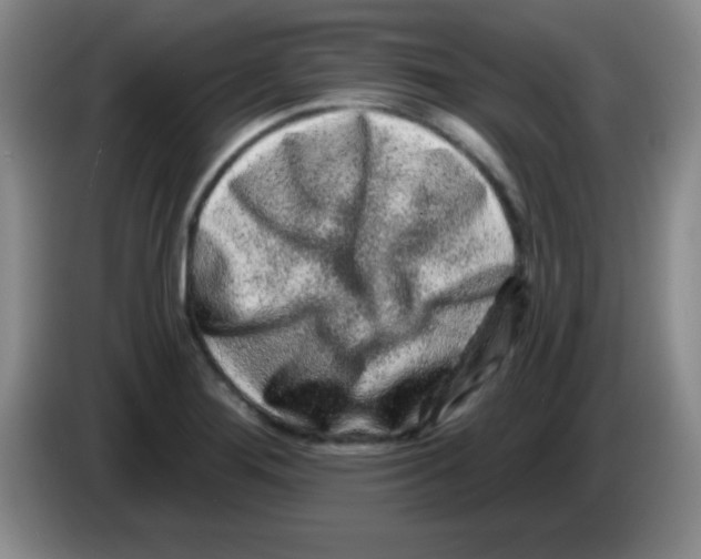 X0000083571276200703091630
