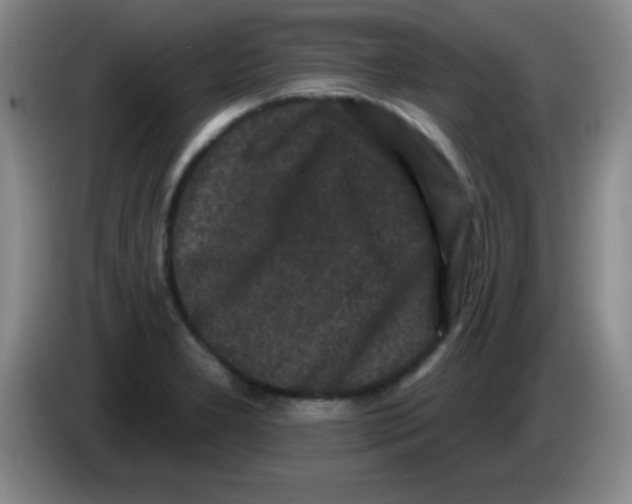 X0000083571277200703091630