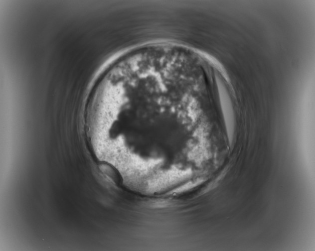 X0000083571279200703091630