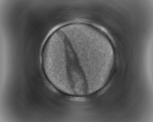 X0000083571280200703091630