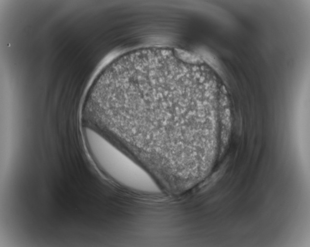 X0000083571283200703091630