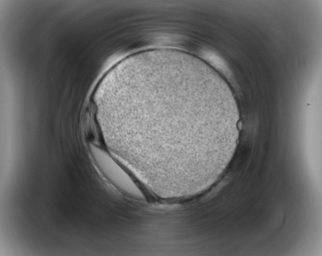 X0000083571284200703091630