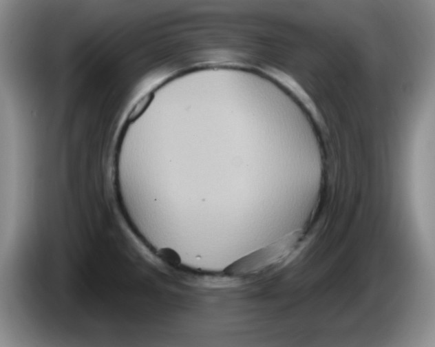 X0000083571285200703091630