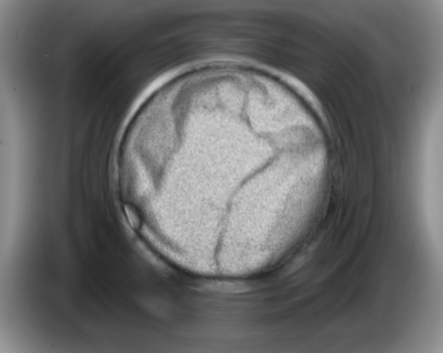 X0000083571287200703091630