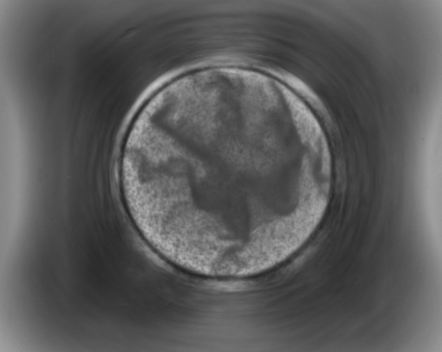 X0000083571288200703091630