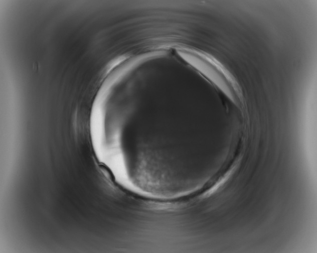 X0000083571289200703091630
