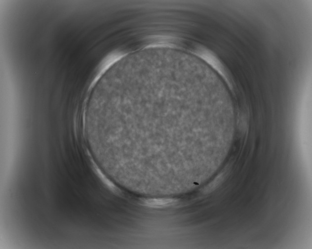 X0000083571290200703091630