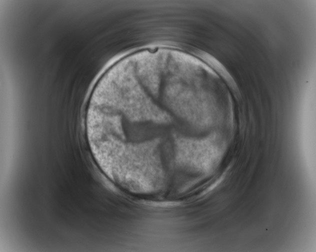 X0000083571292200703091629