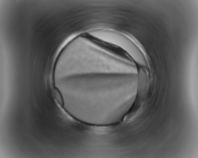 X0000083571293200703091629