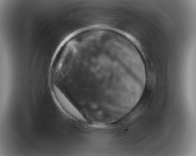 X0000083571295200703091629