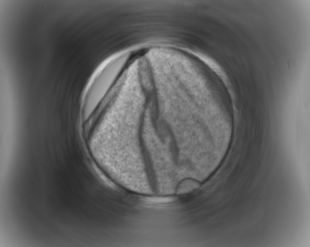 X0000083571296200703091629
