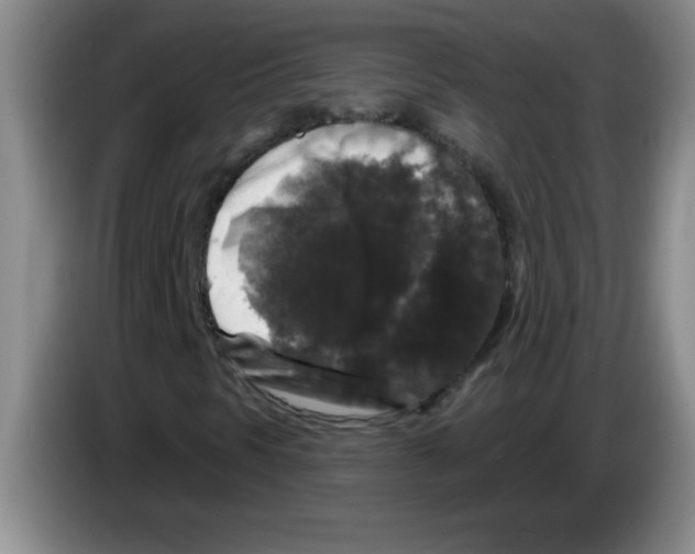 X0000083571297200703091629