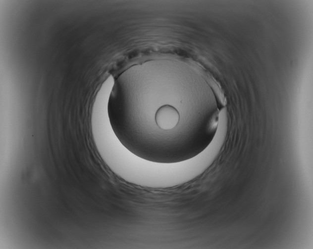 X0000083571298200703091629