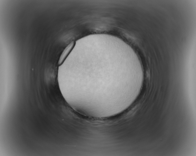 X0000083571300200703091629