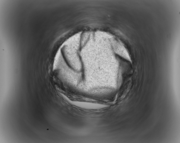 X0000083571302200703091629