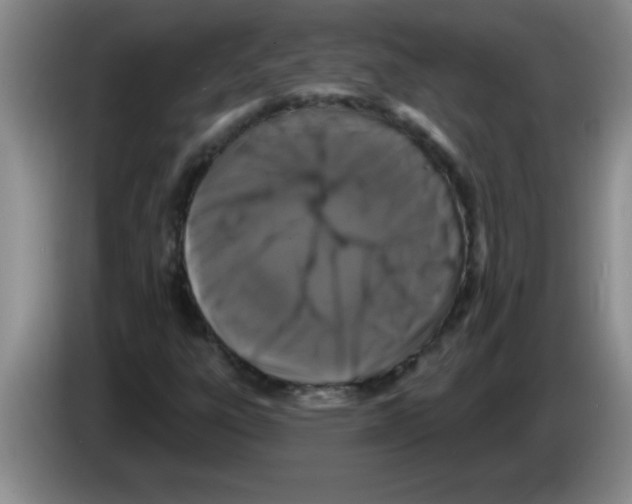 X0000083571303200703091629