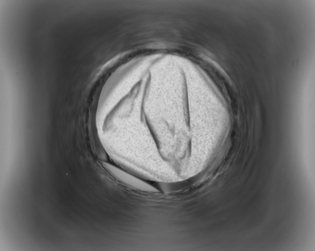 X0000083571304200703091629